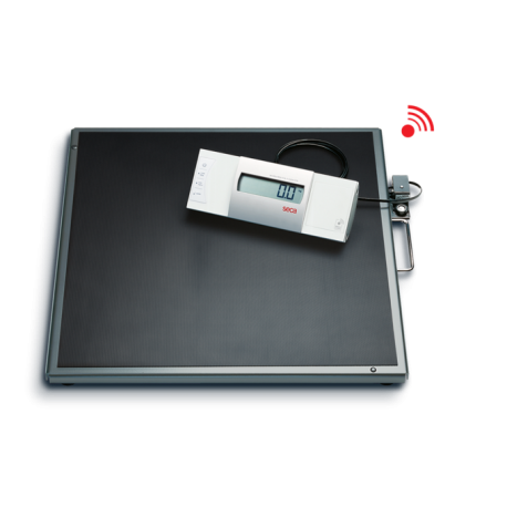 Bascula de piso seca 634