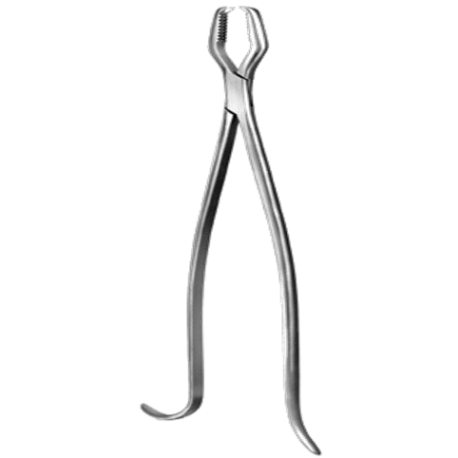 Lane bone holding