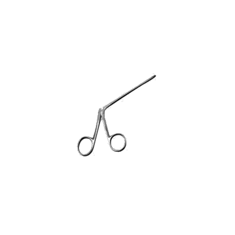 Hartman alligator punta de raton